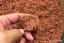 天冷钓鱼除了加虾粉，还能加点什么？注意，这两种粉没啥用！