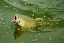 抓紧看！一年中最容易爆护的4个时段，尤其第3个，大多数人不知道