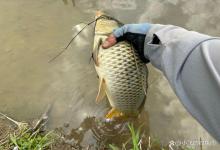 蚯蚓不如商品饵，那是你不会用！只知道死守可就吃大亏了
