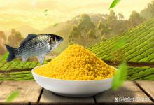 为什么钓鱼酒米最好是自己泡？