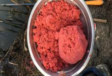 天气越冷，饵料越要“软轻蓬”！低温钓鱼饵料全攻略，解决鱼口轻、鱼口弱难题