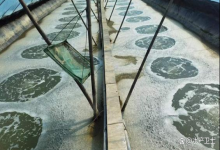 冬棚虾养殖如何低温肥水？如何在低温环境下保持虾塘的水肥度？