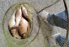 记住这4句口诀，降温=爆护！专治各种“没口”，告别空军就这么简单！