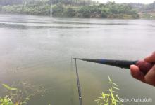 “小漂难抛、大漂不灵”，冬季用长竿钓鲫鱼，浮漂怎么选？