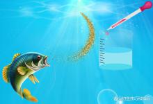 黑坑钓鱼小药的选用思路