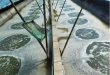 池塘倒藻后如何快速肥水？养殖池塘入冬前如何快速肥水？全是干货