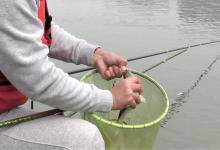 冬钓鲫鱼，浮漂有动作不中鱼，没动作却中鱼，主要是这些原因