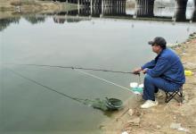 冬季野钓鲫鱼，这样用饵，这样打窝，不愁钓不到鱼