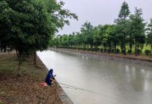 暴雨过后才是钓鱼黄金期？这些门道摸清了才能渔获满满！