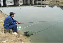 冬天钓鱼是钓灵还是钓钝？饵料是触底还是躺底？