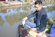 鲫鱼黑坑小票正钓的4个技巧