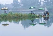 天冷鱼不开口？非也！是你没抓住这个“黄金一小时”！