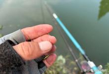 冬钓鲫鱼，子线最小用到几号？大师们来说一说