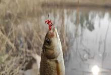 冬季野钓别瞎忙！找准这4种“藏鱼窝”，板鲫一条接一条