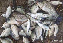 冬季钓鱼，遇上雨雪天怎么钓？千万别钓下雪后