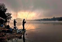 钓鱼人须知：这些刺少肉嫩的鱼钓到可以带回家哦。你们解锁过吗？