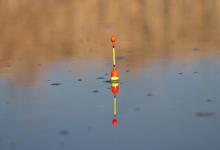 冬季钓鱼漂相判断：提竿与不提竿的关键时机！看懂这几点，十拿九稳！