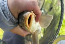 三个数据帮你判断爆护天气！钓鱼佬必看的气象解析，科学钓鱼从此告别“空军”