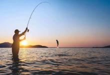 钓鱼直播水多深？五大套路揭秘，别让“大师”钓走你的钱包！