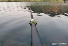 冬季发窝太慢，别老跟窝料过不去！看看这几件事有没有做到位