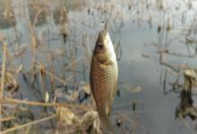 “钓降温，不钓升温”？背后真相来了！冬季升温这样做，鱼获翻倍