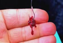 难怪你用红虫没口！老钓友揭秘3大使用忌讳，尤其第三个！