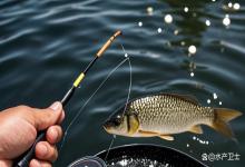 钓场黑坑如何预防越冬综合症？怎么预防鱼越冬综合征的发生？收藏