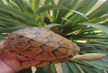 10大龟友必看难题，新手秒变老司机（附超省钱攻略）