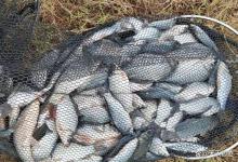 冬季野钓，5大爆护基本条件，看懂的都连杆了