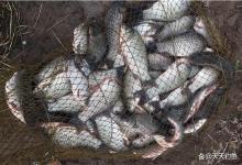 冬季钓鱼，3类地形看到赶紧抢，鲫鱼在这里过冬