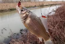 冬天钓鱼总空军？3个方向让你精准定位鱼群，轻松爆护！