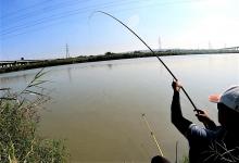冬钓是钓底还是钓浮？这几个地方是鱼窝，遇到千万别错过