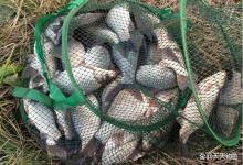 冬季钓鲫鱼，策略上有5大特色，完全区别其他季节