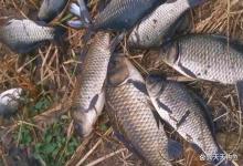 冬钓用饵策略：不是香就行，状态才是吃口的根本