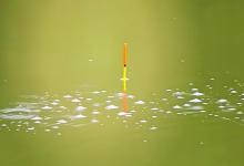 冬天钓不到鱼？别怪运气差，90%是因为你选错了浮漂吃铅量！