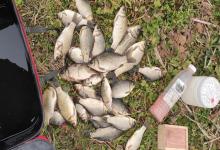 冬季钓鱼难？蚯蚓钓鱼3大必杀技，新手也能寒冬爆护！