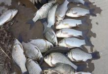 冬季钓鱼这3种天气，鱼情好到离谱！遇到别犹豫，出门必爆护！