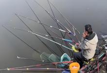 为什么别人都能钓到鱼,就你钓不到,你努力了吗?