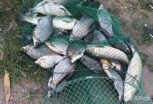 钓鱼调漂,入门简单精通很难,2个公式清楚明白