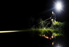 夜钓鲤鱼总当“空军”?别急,这五招让你立刻爆护!