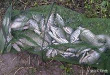 冬季钓鱼,找4种天然鱼窝,大板鲫全在这里过冬