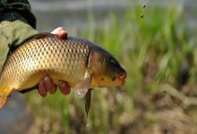 冬季升温必“空军”？老钓手的3个逆袭秘籍