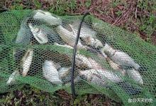 寒冬钓鲫鱼，如何放大吃口？方法不少最后的更有效