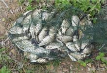 寒冬钓鱼，鱼情虽差更有规律，这些方法还能一战