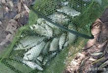 数九寒冬怎么钓鱼？够得到鱼窝，全是好钓法