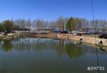 冬季鱼塘水瘦水清用什么肥水？鱼塘冬季水瘦适合补什么菌和肥？