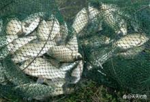 寒冬钓鱼“4字”秘诀，做对了连竿上鱼，错了要空军