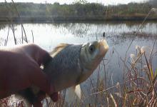 冬季钓鱼风向指南：看懂风的密码，让鲫鱼疯狂咬钩！