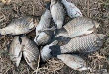 冬季野钓，3个方法看出鱼窝，不要到了水边就开钓