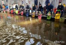 钓场冬季鱼儿漫游、遛边是什么情况？冬季鱼上浮溜边怎么处理？